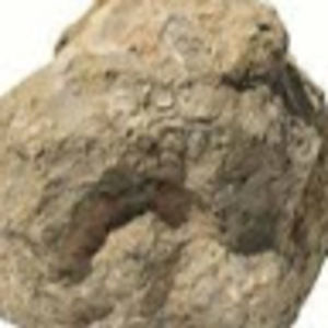 Meet your Posher, Quen9980